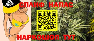 ГАЛЛЮЦИНОГЕННЫЕ ГРИБЫ Гусь-Хрустальный