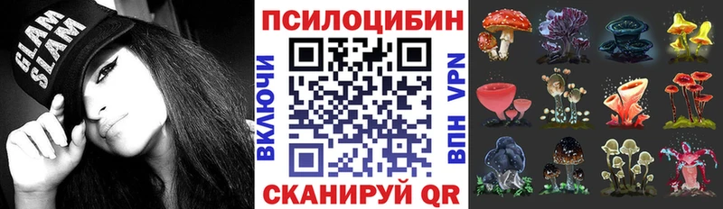 купить наркотик  darknet телеграм  Псилоцибиновые грибы MAGIC MUSHROOMS  Зима 