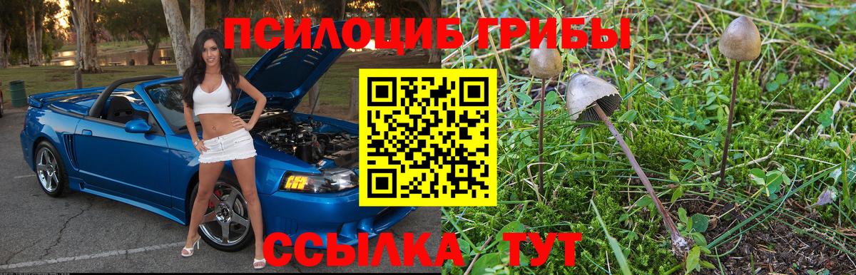 Галлюциногенные грибы MAGIC MUSHROOMS  Псилоцибиновые грибы мицелий  Зима  Вход с VPN 